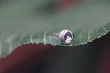 Neometal Threadless Titanium Polished Disk