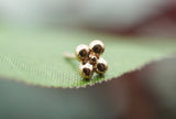 Gold Quad Bead Cluster (Threadless)