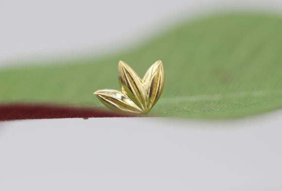 Anatometal Gold Ferndale (Threadless)
